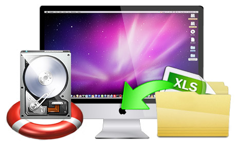 Mac DDR Professional Data Recovery Software